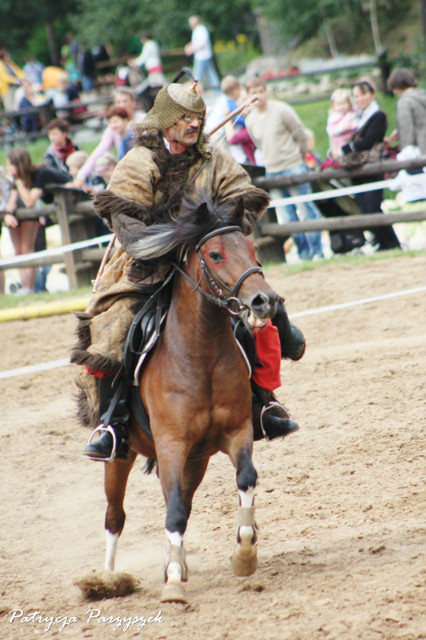 Tatar i jego ko 