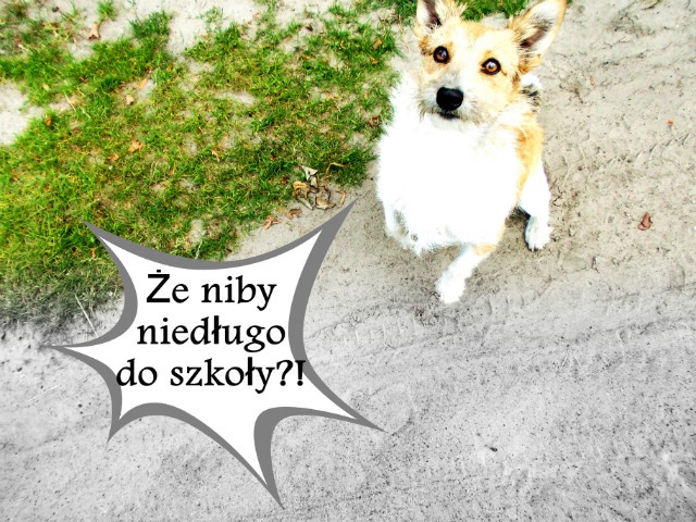 atek :))