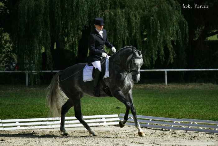 MPMK-A 2009 Heraja
