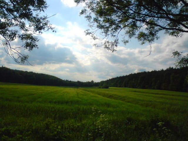 Wymikam przy Twoich oczach.