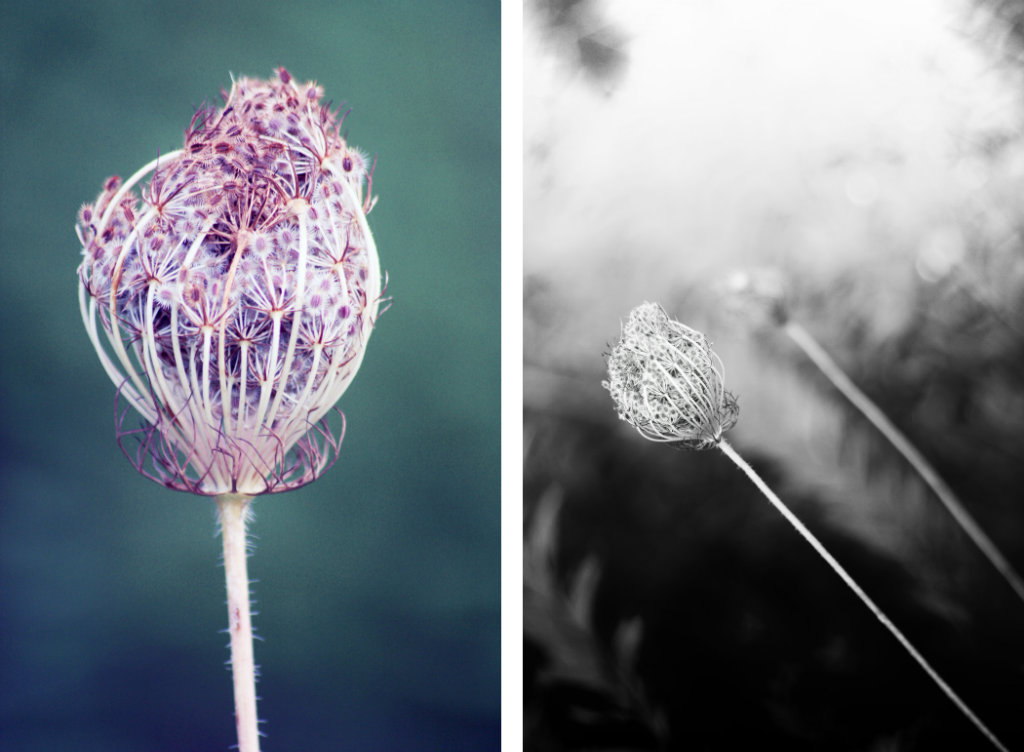 Flower power!