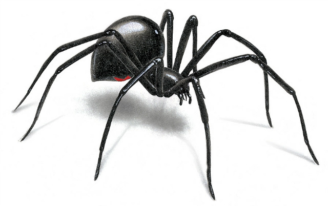 Zawieszenie bloga