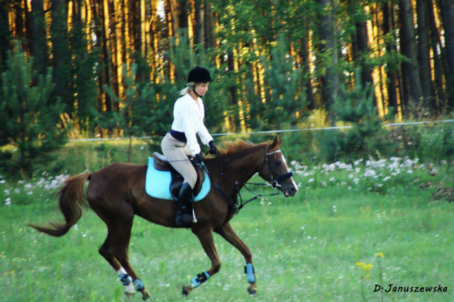 Helena i Rowenta ^^