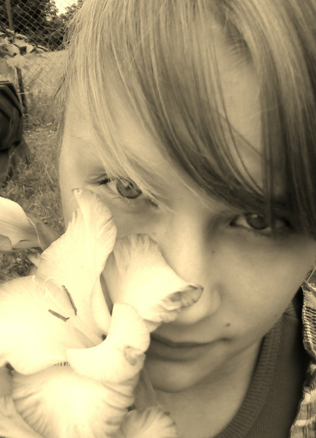 tsknoo mi