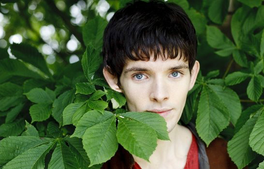 Merlin 