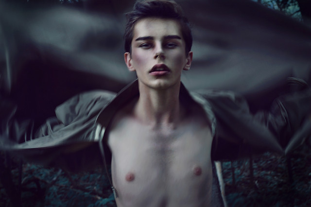 sombre foret