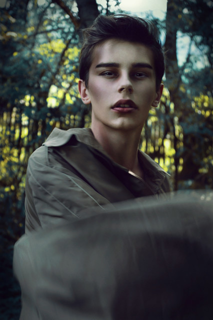 sombre forest