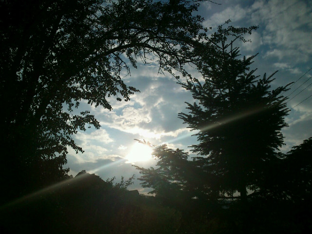 zakopiec.