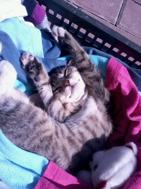 Sweet:)