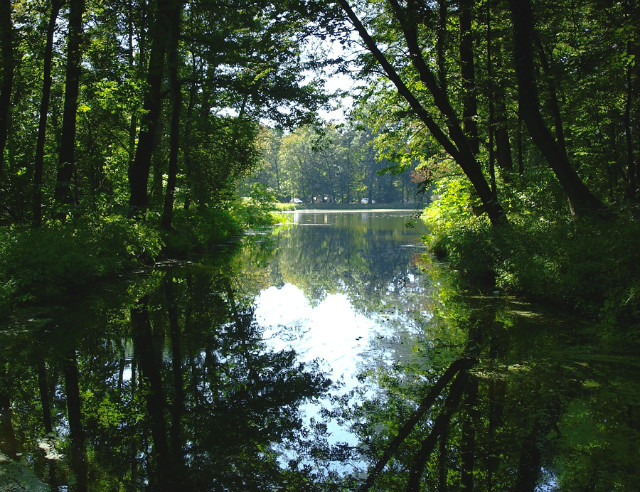 Rudy Raciborskie - Park