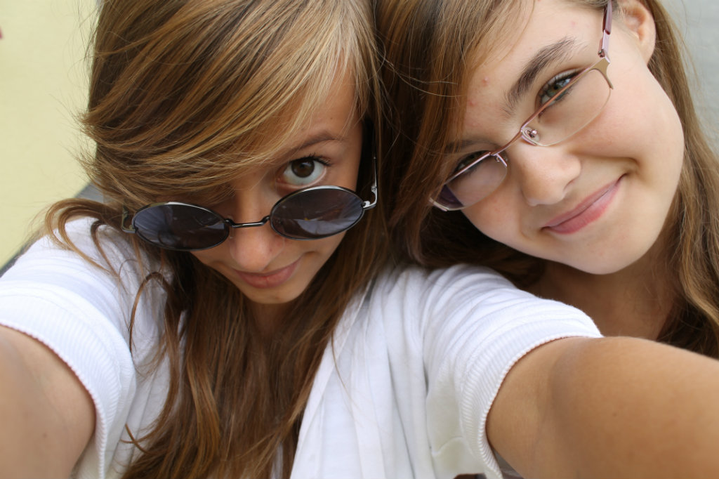 6. lov