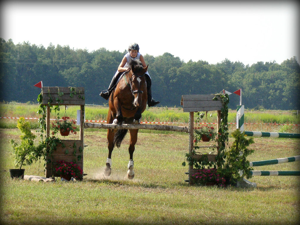 ZT Polichno 2012