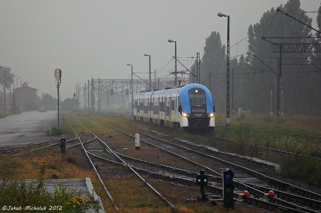 291.