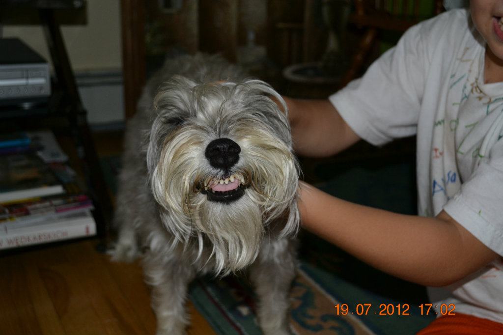 roki.