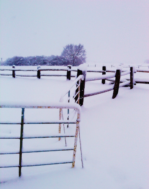 l'hiver