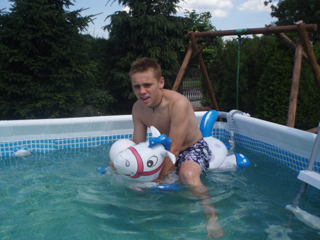 Dawid i jego ko