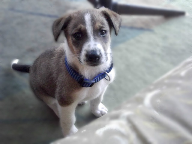 Deki ;)