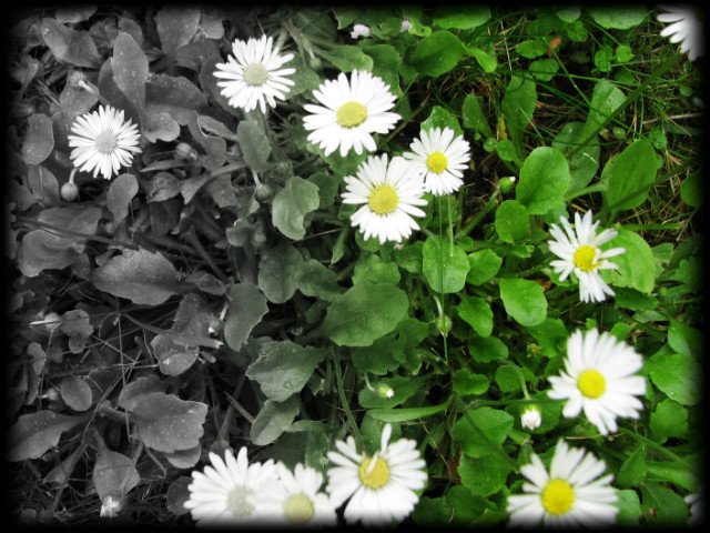 save the nature