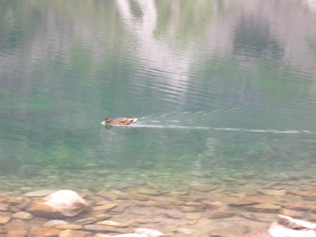 Morskie Oko 2012