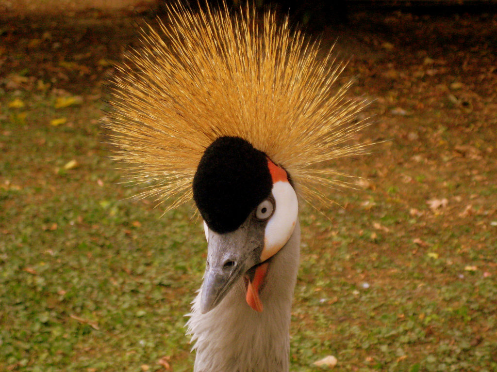 W zamojskim zoo ;)