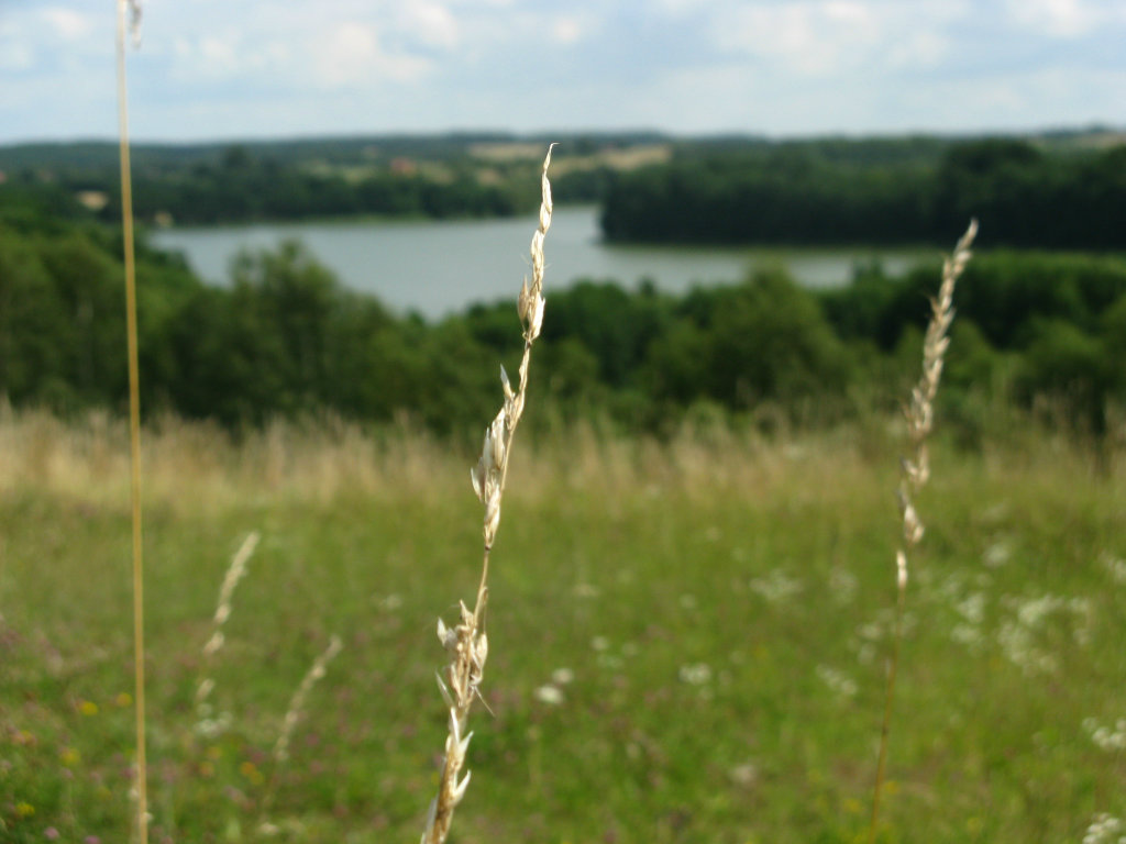Jezioro ; >