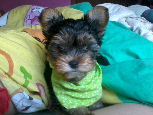 Lexi ^^