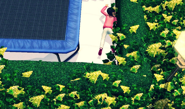 Sims # 23