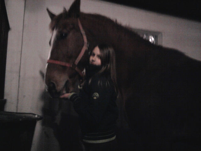 Labi < 3 . 