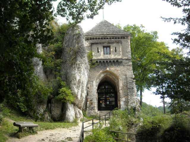 Zeszoroczne.