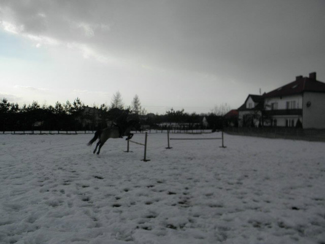 Lawusia :D
