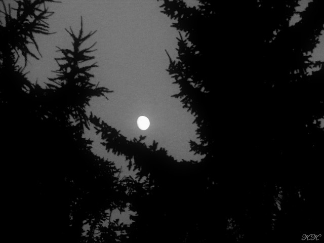 moon ;p