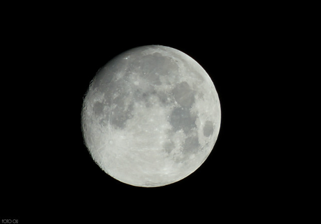 moonlight