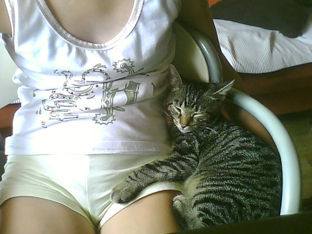 kitek;d