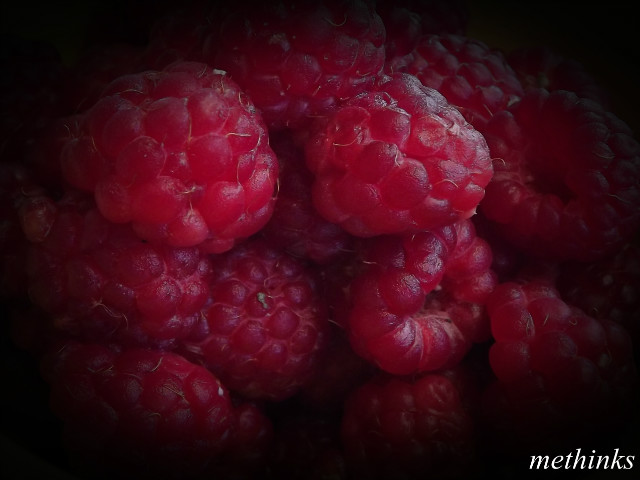 framboises.