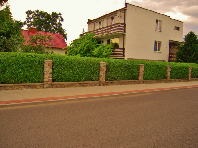 Nadchodzi Zima 