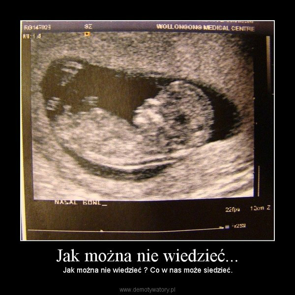 Owoc Mioci 