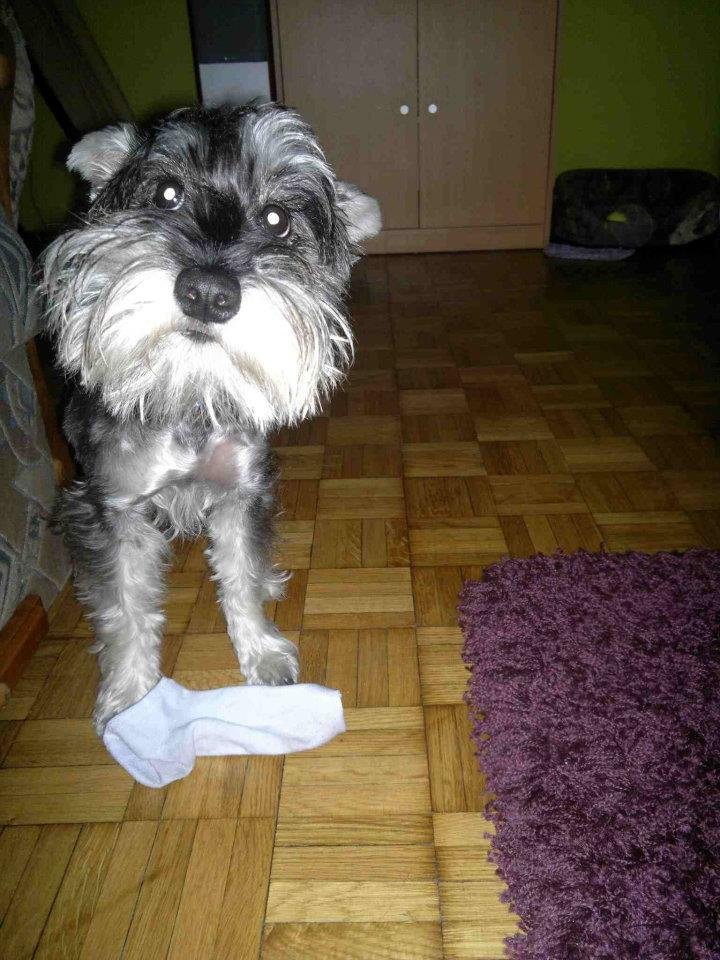 Sobota.