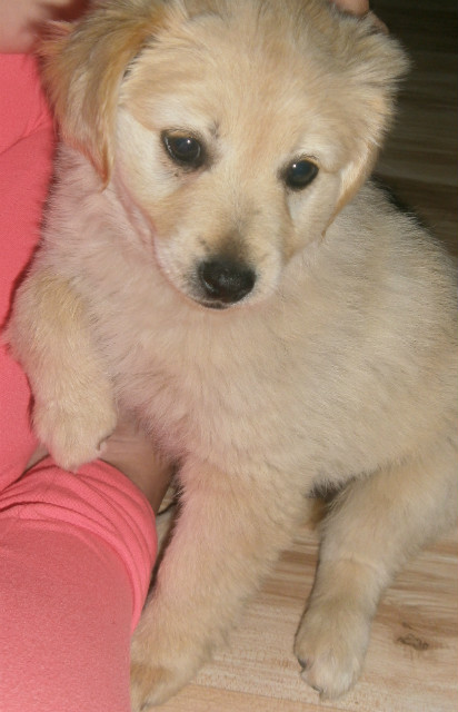 Majeczka ;****