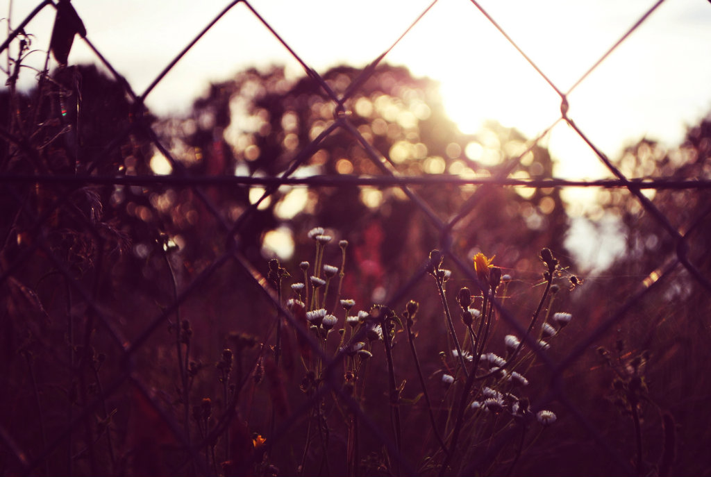hello september!