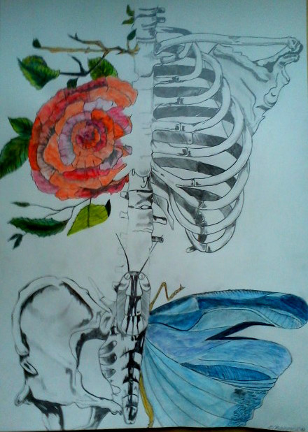 Drawings...