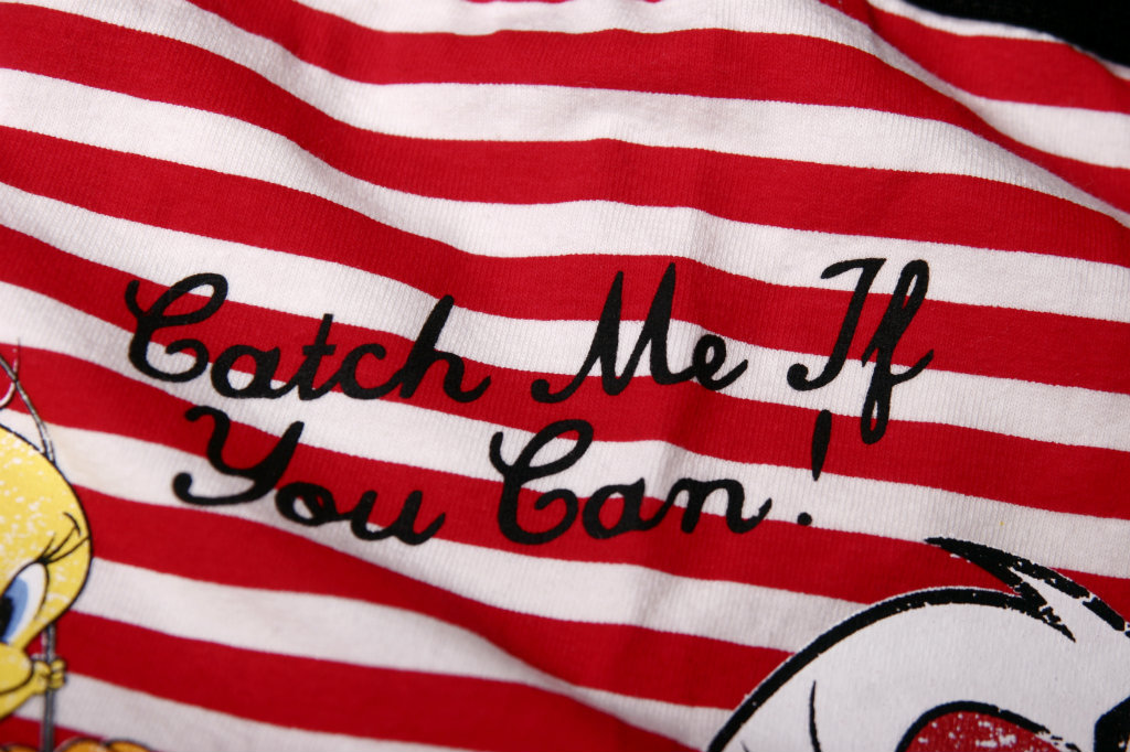 CACH ME IF YOU CAN!