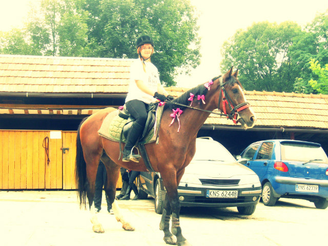 BarbiePony