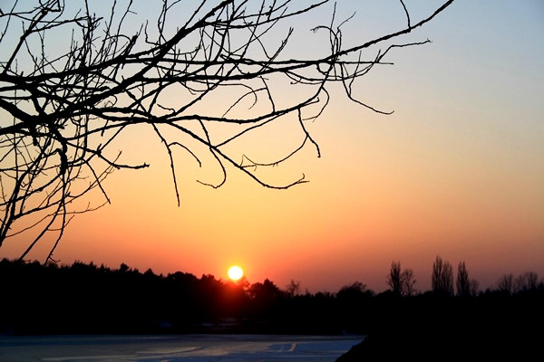 Tak miao by..