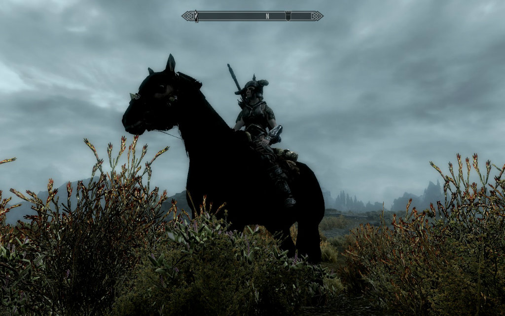 skyrim!