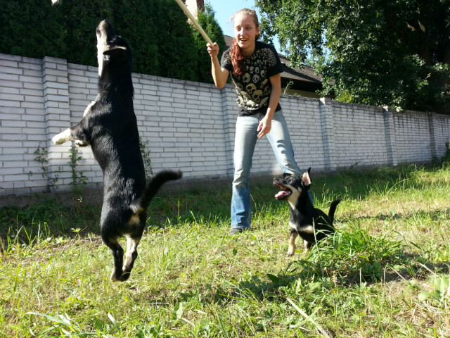 Moje