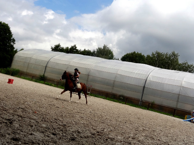 Galop