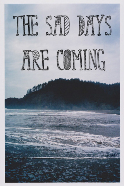 the dog days are over. 