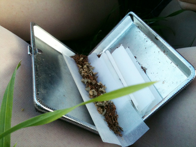 Bad bitches, good weed. 