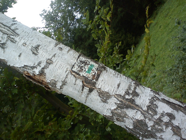 Trasa rowerowa ;P