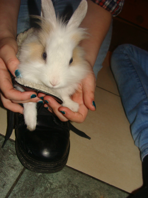 krlik Agaty :d